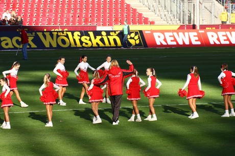 fc-lev