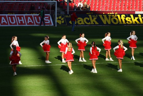 fc-lev