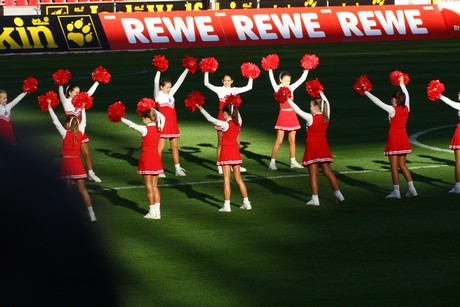 fc-lev