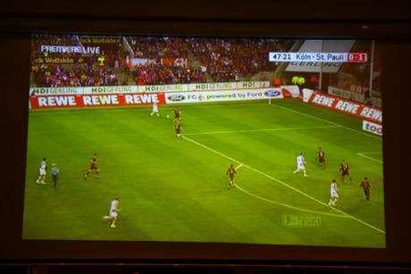 fc-pauli