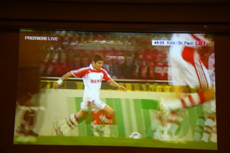 fc-pauli