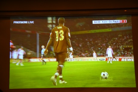 fc-pauli