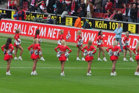 fc-schalke