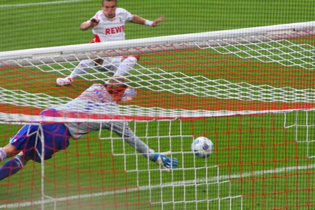 fc-schalke