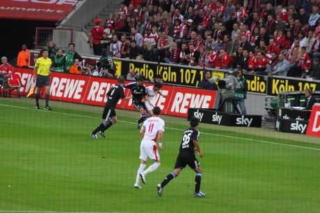 fc-schalke