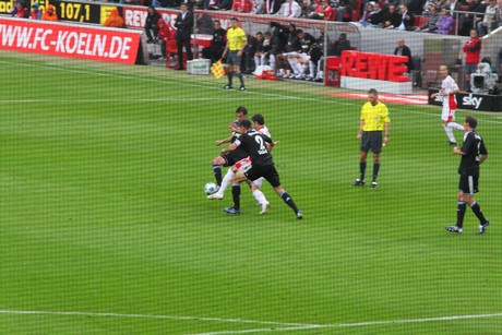 fc-schalke