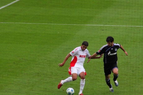 fc-schalke