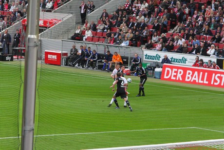 fc-schalke