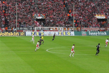 fc-schalke
