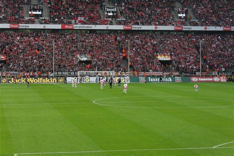 fc-schalke