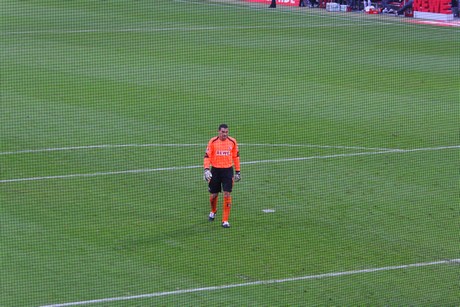 fc-schalke