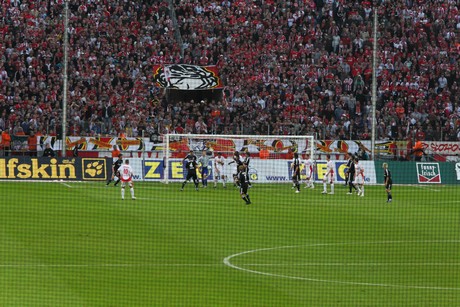 fc-schalke
