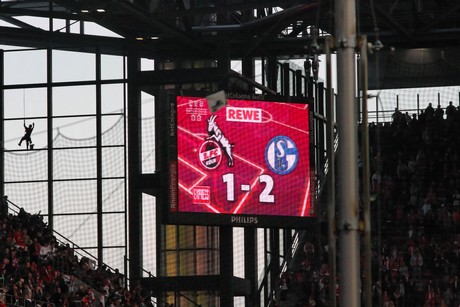 fc-schalke