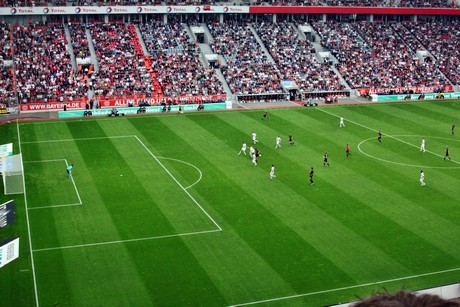 fussball