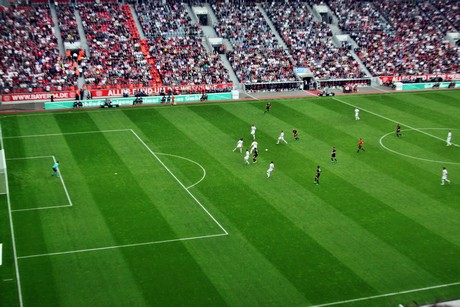 fussball