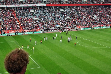 fussball