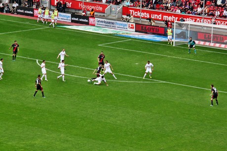 fussball