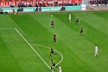 fussball