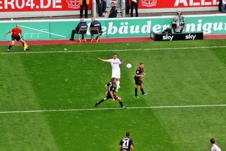 fussball