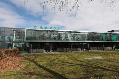 auskreuzung