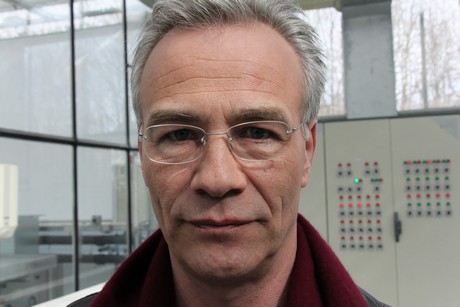 auskreuzung