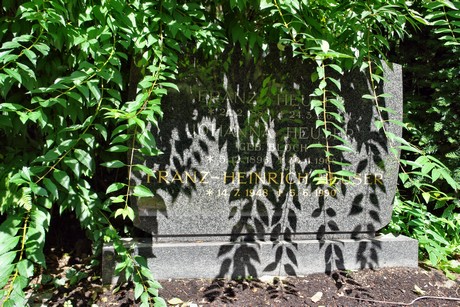 friedhof-bocklemuend