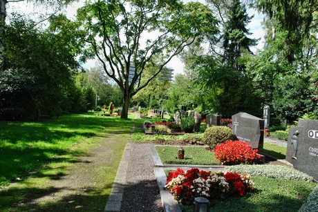 friedhof-bocklemuend