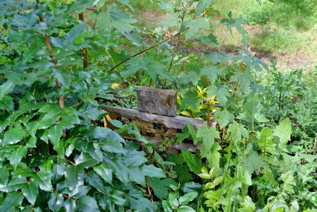 friedhof-bocklemuend