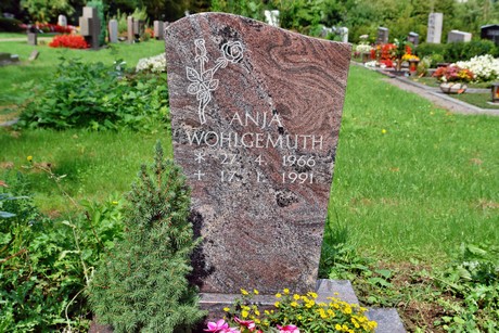 friedhof-bocklemuend