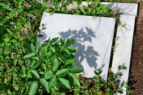 friedhof-bocklemuend