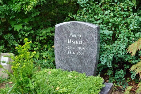 friedhof-bocklemuend