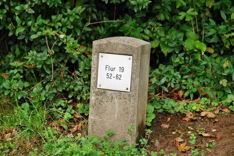 friedhof-bocklemuend