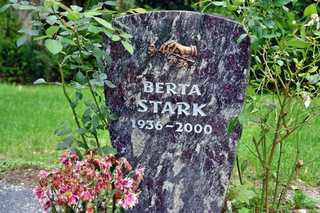 friedhof-bocklemuend