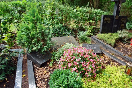 friedhof-bocklemuend