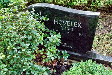 friedhof-bocklemuend