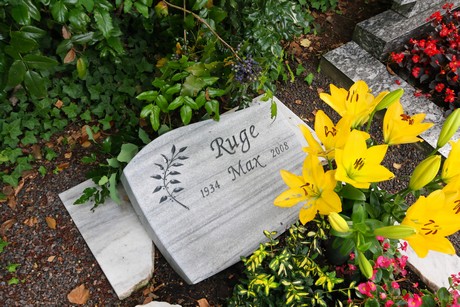 friedhof
