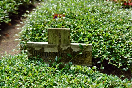 friedhof