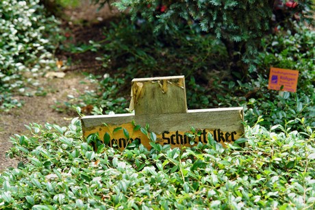 friedhof