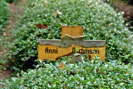 friedhof
