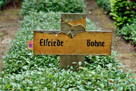 friedhof