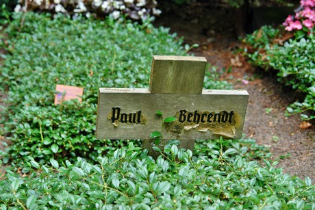friedhof