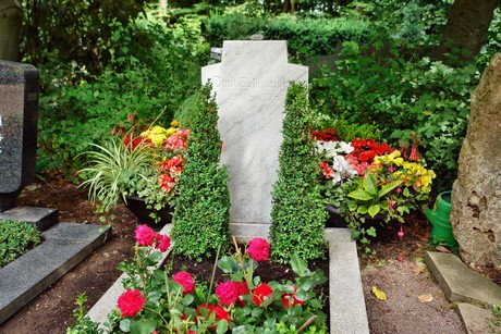 friedhof