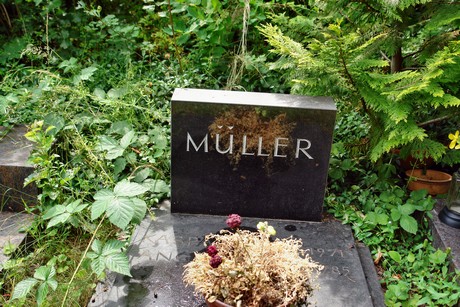 friedhof