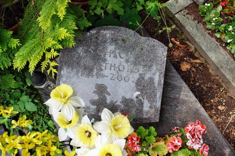 friedhof