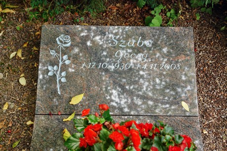 friedhof