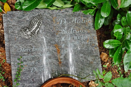 friedhof