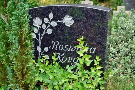 friedhof