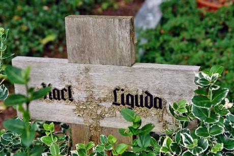 friedhof