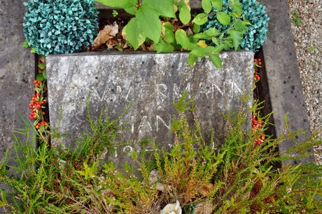 friedhof