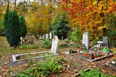 friedhof